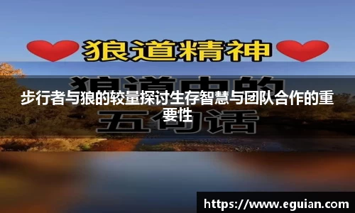 步行者与狼的较量探讨生存智慧与团队合作的重要性