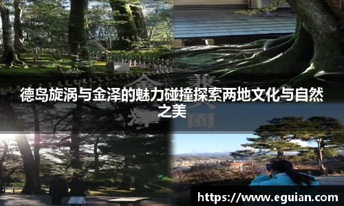 德岛旋涡与金泽的魅力碰撞探索两地文化与自然之美